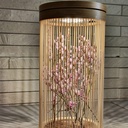 Sonnenglas EN Decorated