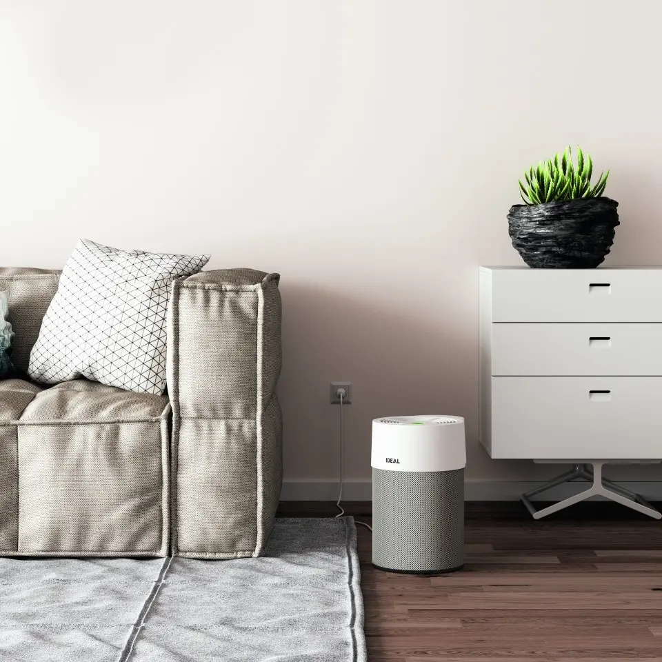 AP40 grey Living Room 1-1.webp