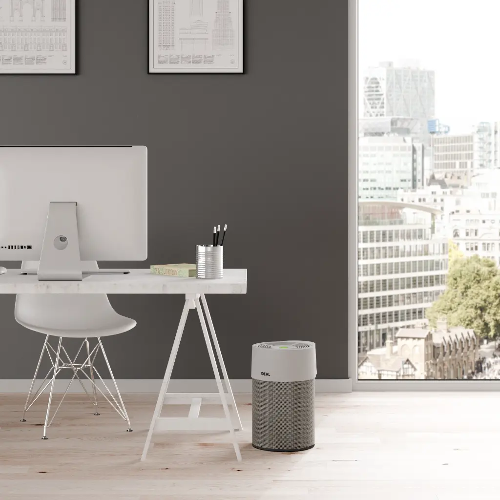 AP40 grey office 1-1.webp